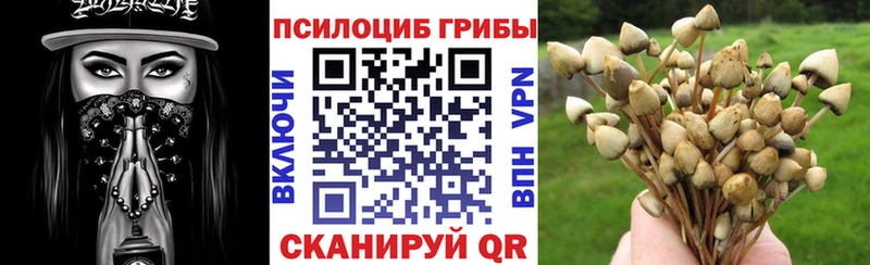 купить  цена  гидра сайт  Псилоцибиновые грибы MAGIC MUSHROOMS  Макаров 
